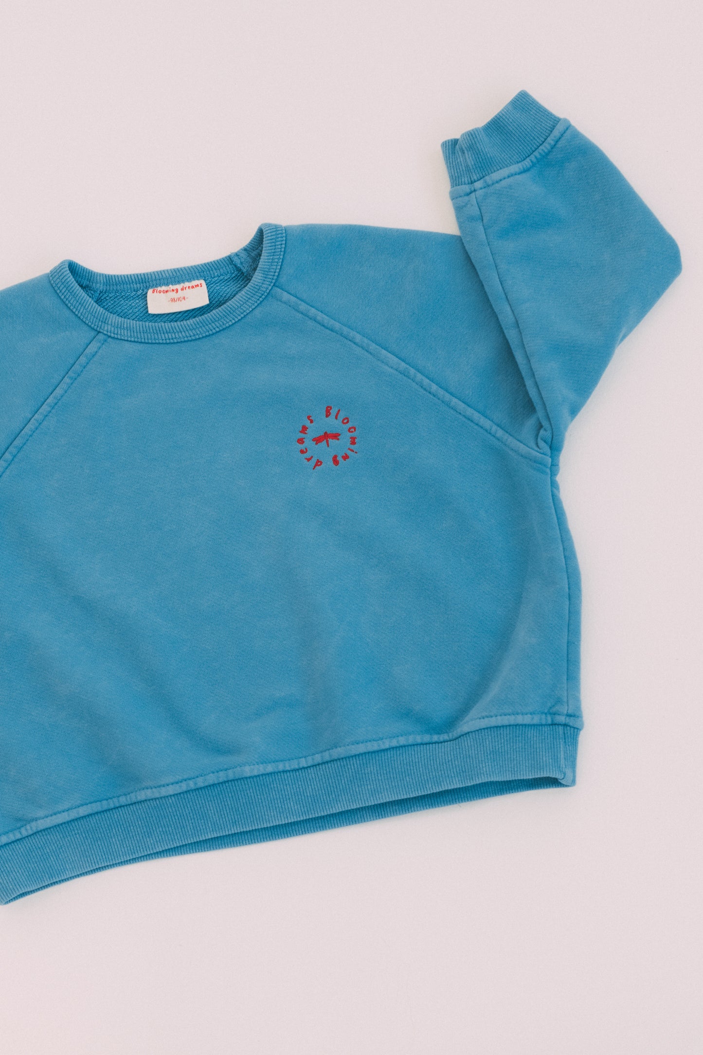 Bluza Reglan BLUE